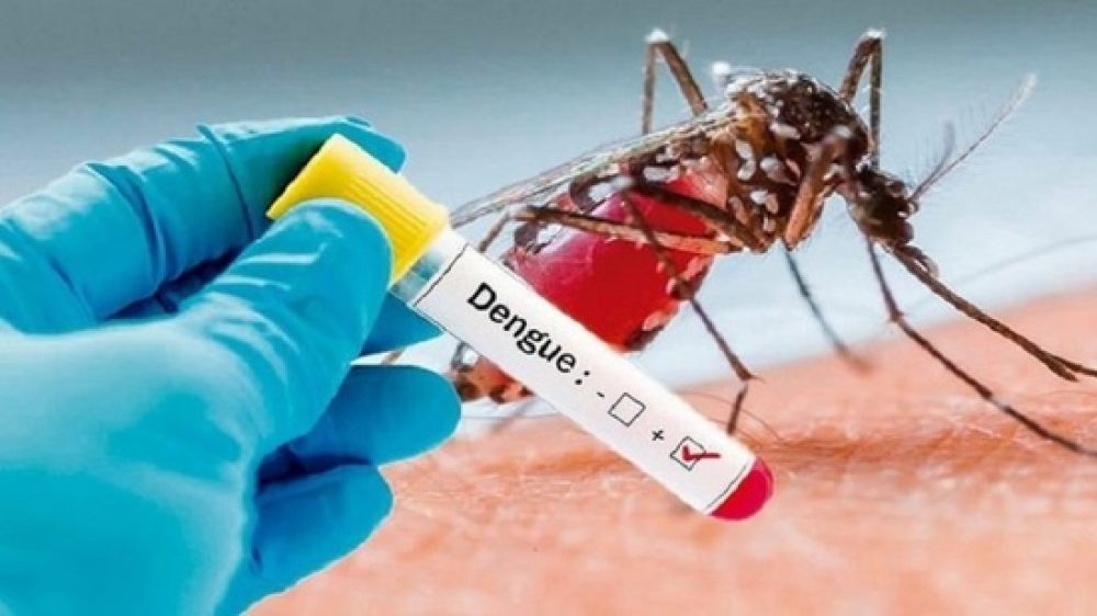 Paraguay, bajo amenaza de una de las peores epidemias de dengue de la década