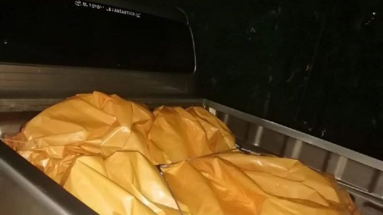 Incautan vehículos que transportaban tóxicos de manera irregular
