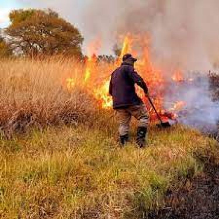 Advierten con multas y hasta cárcel para quienes causen incendios