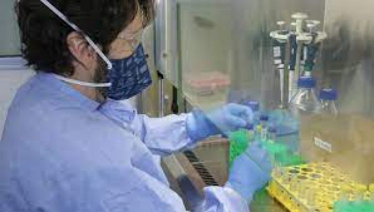 Covid-19: Ingreso de cepas altamente contagiosas complica la situación sanitaria