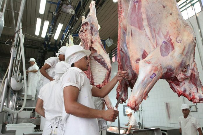 Exportación de carne bovina asciende a más de 182.000 toneladas en primeros siete meses del año