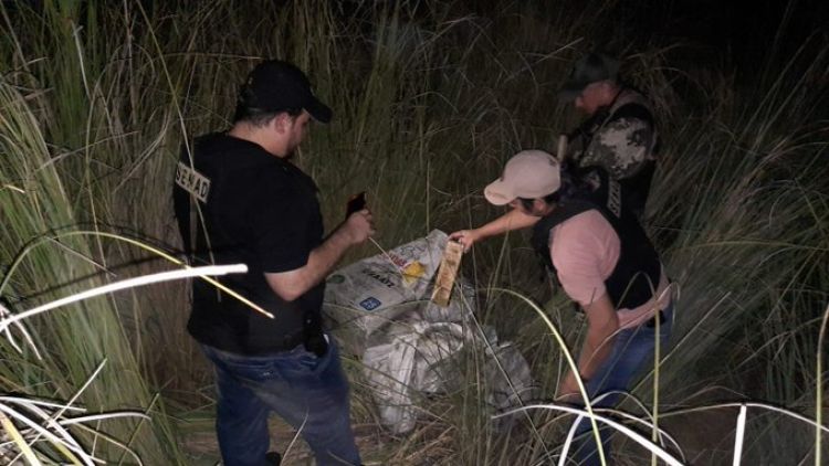 Detectaron marihuana a orillas del Río Paraná