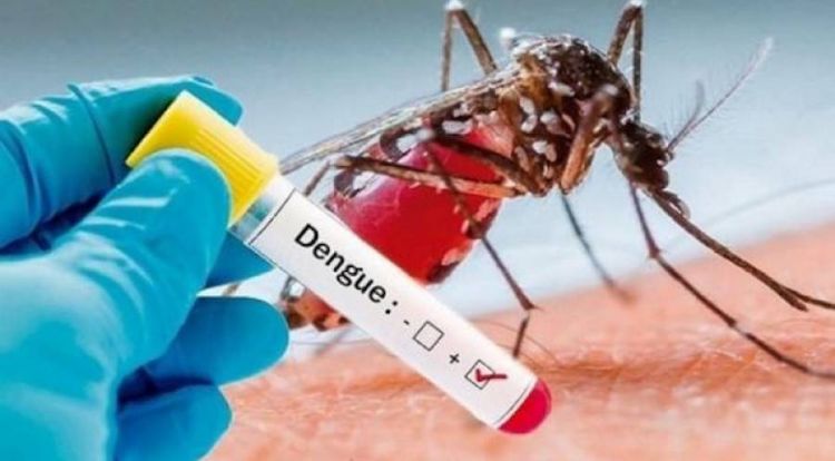 Central registra su primer enfermo de dengue y hay varios casos sospechosos más