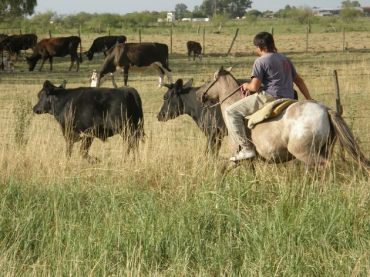 Aumentan salario mensual y jornal mínimo de trabajadores del sector rural