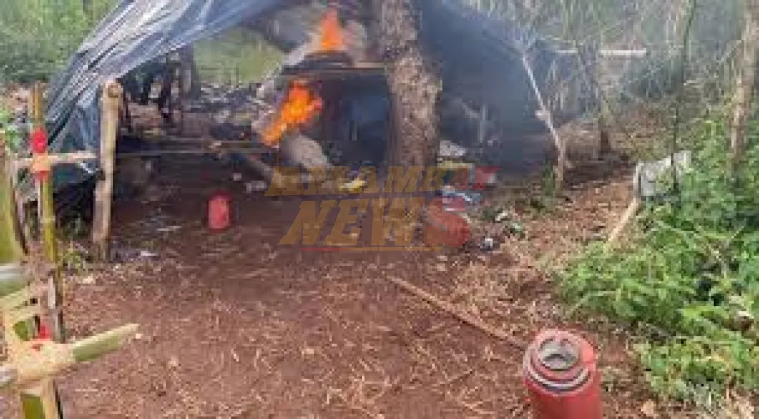 Anulan campamento narco y destruyen toneladas de marihuana en Capitán Bado