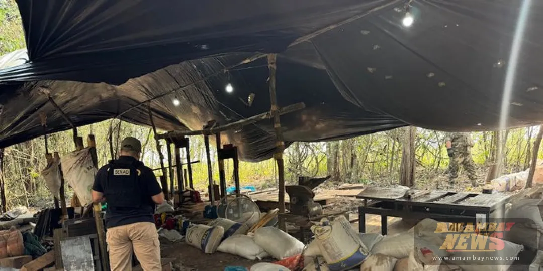 Localizan megaindustria narco: aquí producían caudales de droga para el Brasil