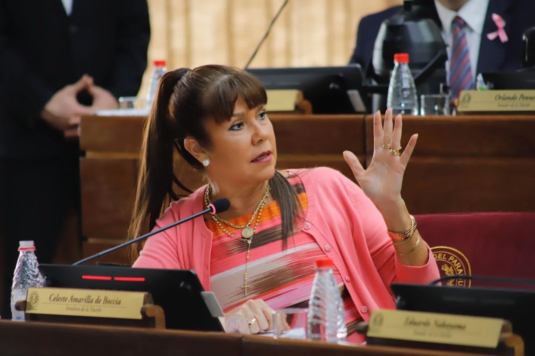 Celeste Amarilla cree que José Insfrán pudo haber «negociado» algo para entregarse