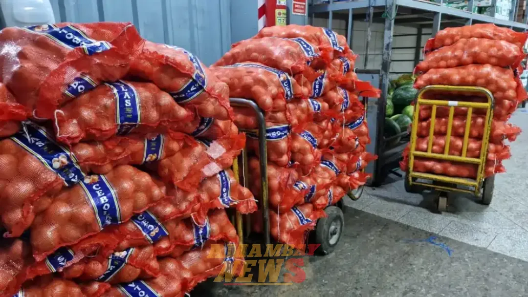 DNIT interviene comercio en Luque e incauta cebollas de presunto contrabando