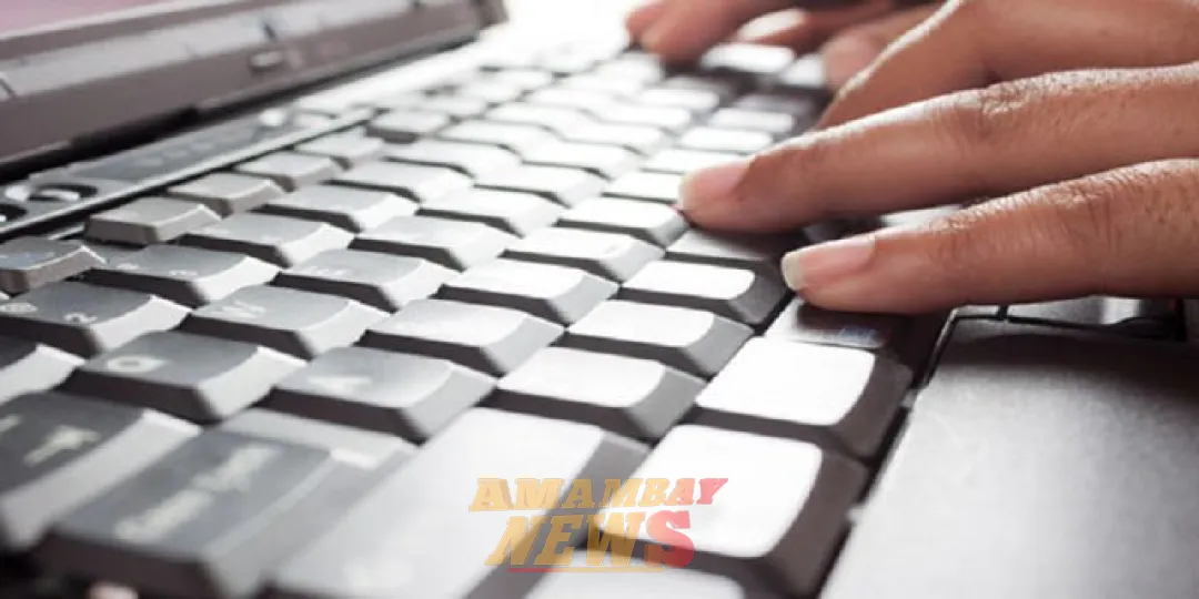 Desbaratan red internacional de “Ciberestafadores”