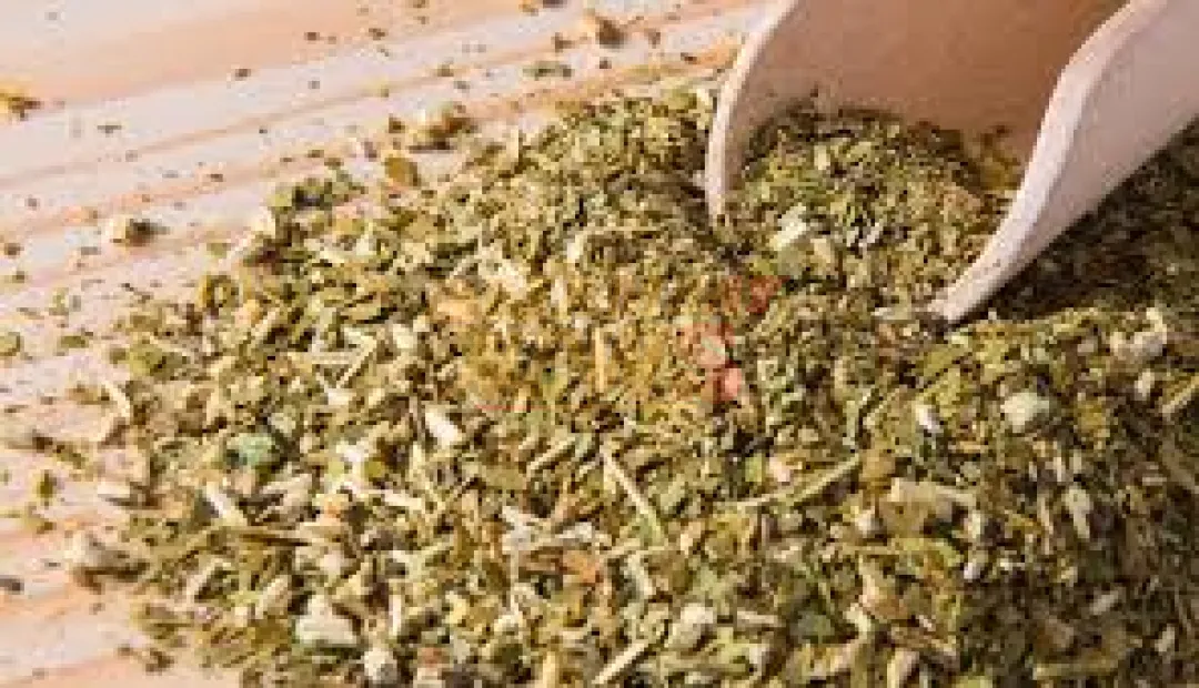 Paraguay celebra el Día de la Yerba Mate, orgullo cultural y motor económico del país