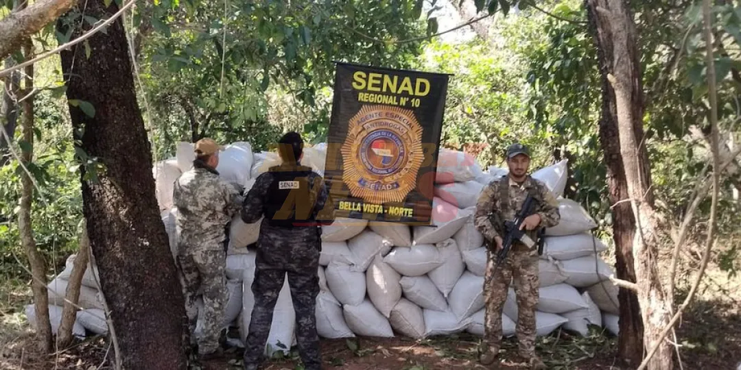 Detectan más de 6,5 toneladas de marihuana en Bella Vista Norte