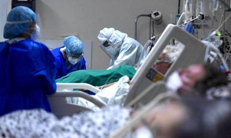 "No convertir un festejo del Da del Padre en una catstrofe": el pedido de los mdicos