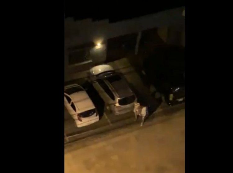 Covid-19: Denuncian fiesta hasta altas horas en local nocturno en Asunción
