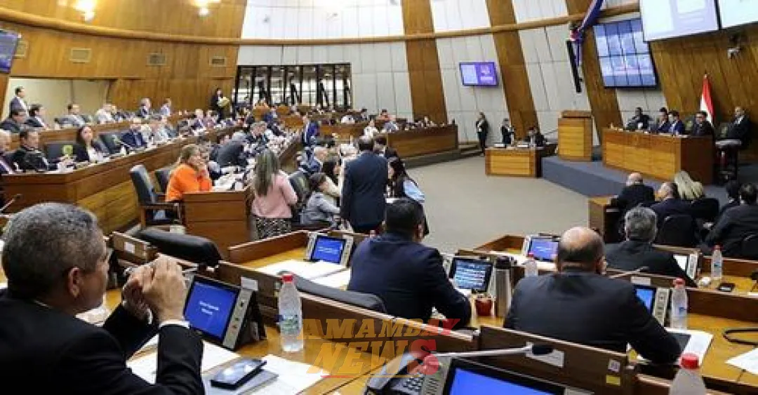 Piden Informe al MEC sobre labor de "profesores sombra" en escuelas del país