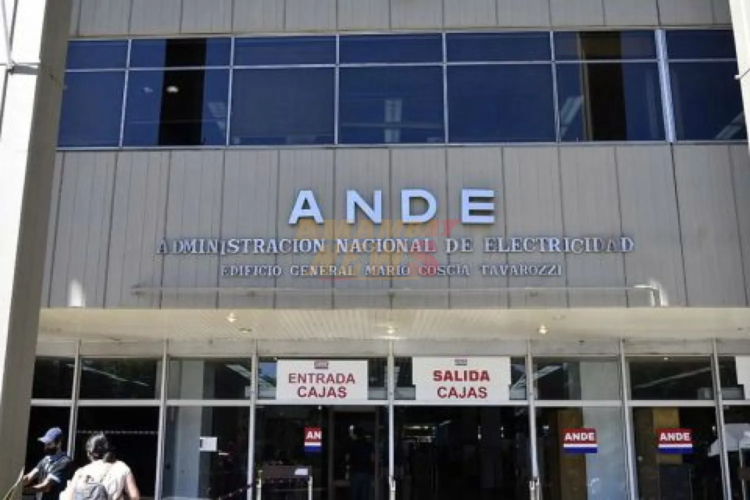 Ingenieros de la ANDE denuncian vulneración de la autonomía tarifaria tras nuevo decreto
