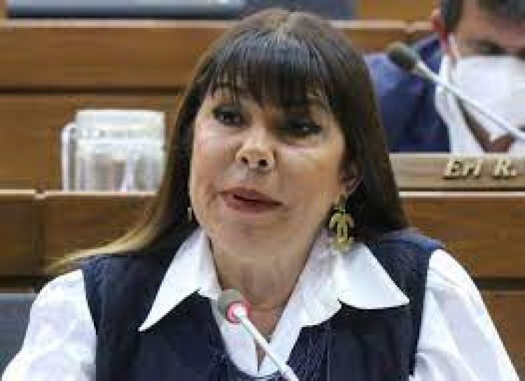 Celeste Amarilla afirma que no hay causales para su expulsión de Diputados