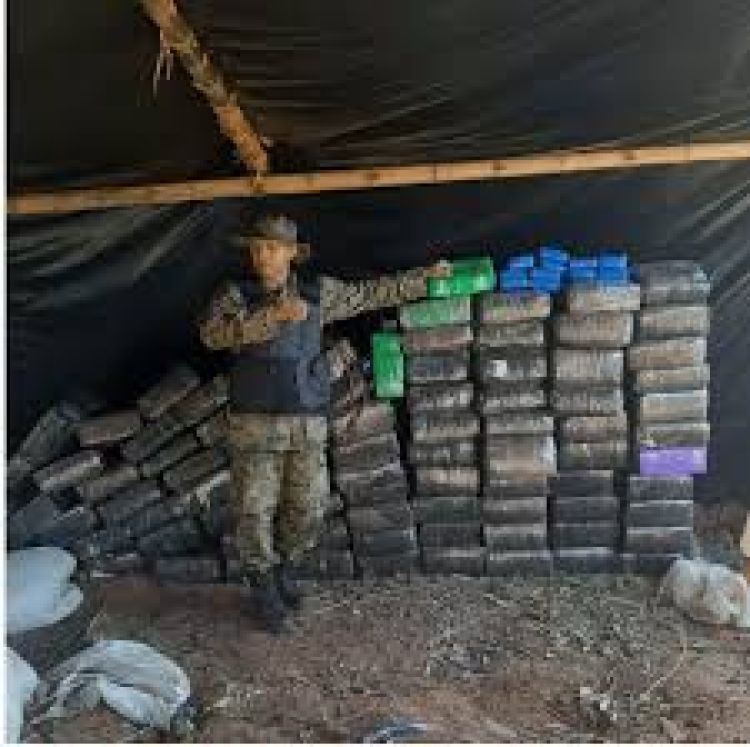 Basalto: Paraguay y Brasil anulan 145 toneladas de marihuana y perjudican con USD 12,5 millones al crimen organizado