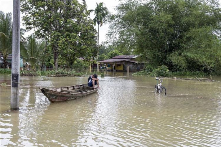 Brasil, de la peor sequía en casi un siglo a miles de evacuados por las lluvias