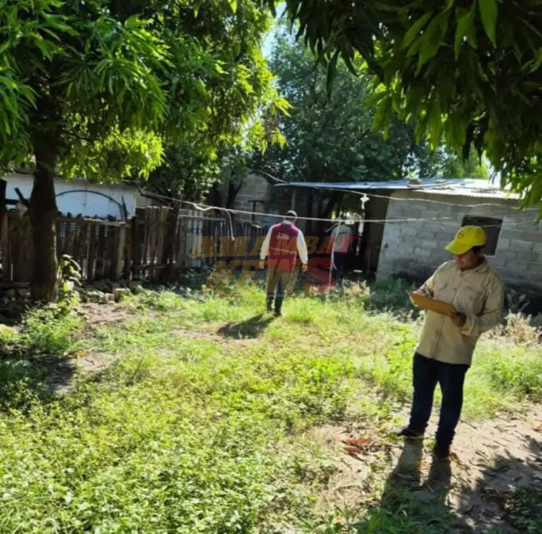 Aumentan los casos de dengue en el departamento de Concepción