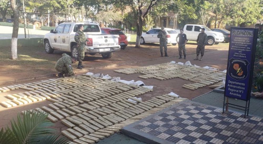Incautan más de dos toneladas de marihuana en la Colonia Estrella