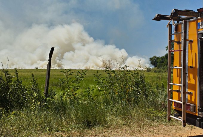 Incendio de grandes proporciones en zona de San Bernardino