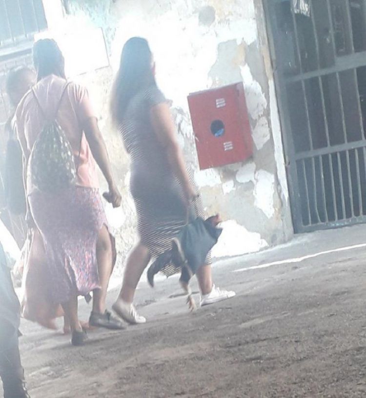 Se dispone intervención de la penitenciaría de Tacumbú e instrucción de sumario a raíz de ingreso irregular de aves de riña