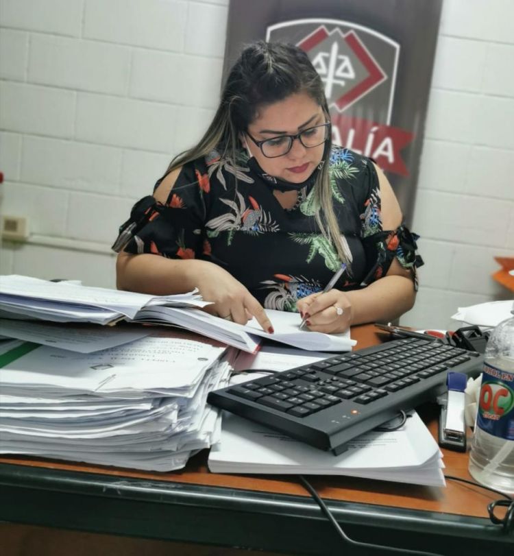 Alta pena por coacción sexual, violación y violencia familiar