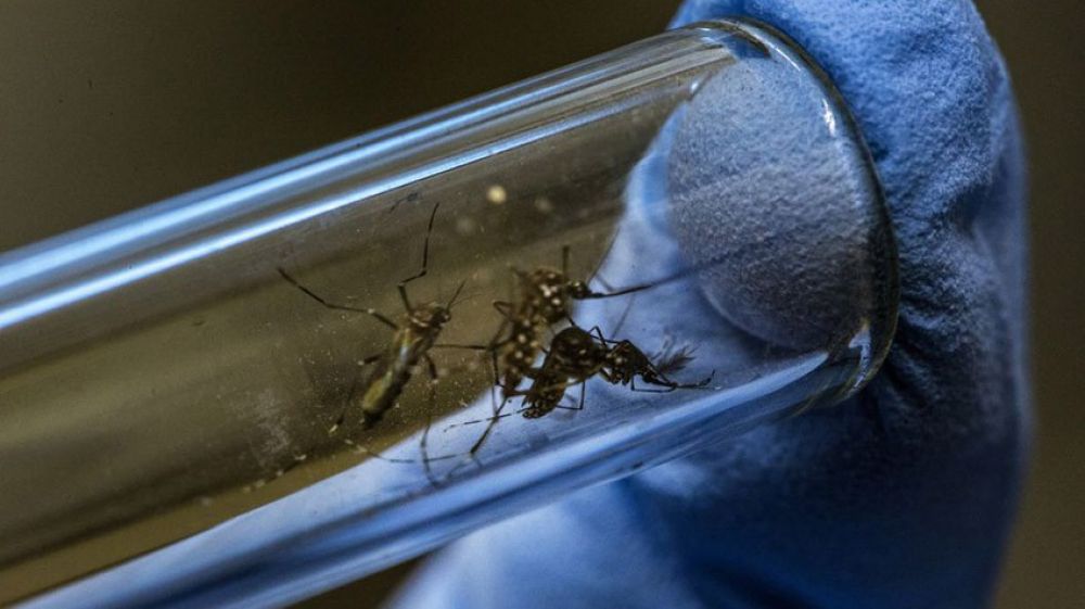 Un hombre de 76 años falleció por posible dengue grave en Luque