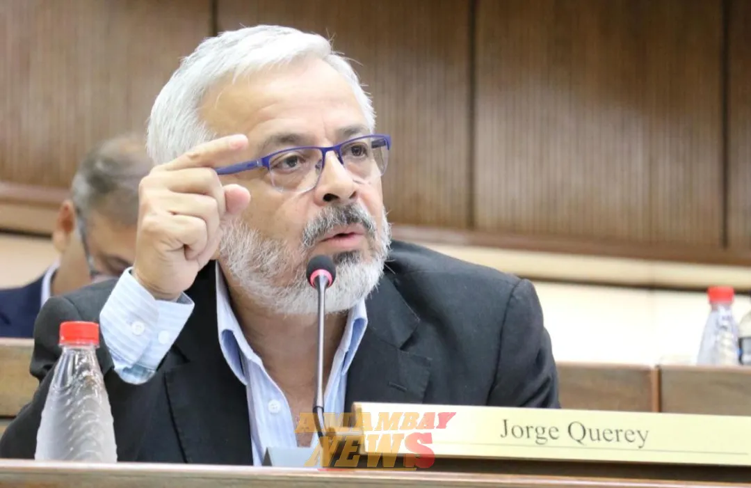 Tras acusaciones contra Lugo, Querey cuestiona a Franco y le pide ser riguroso