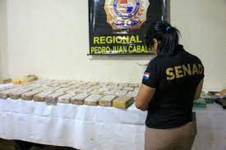 La Senad incautó más de tres toneladas de cocaína el año pasado