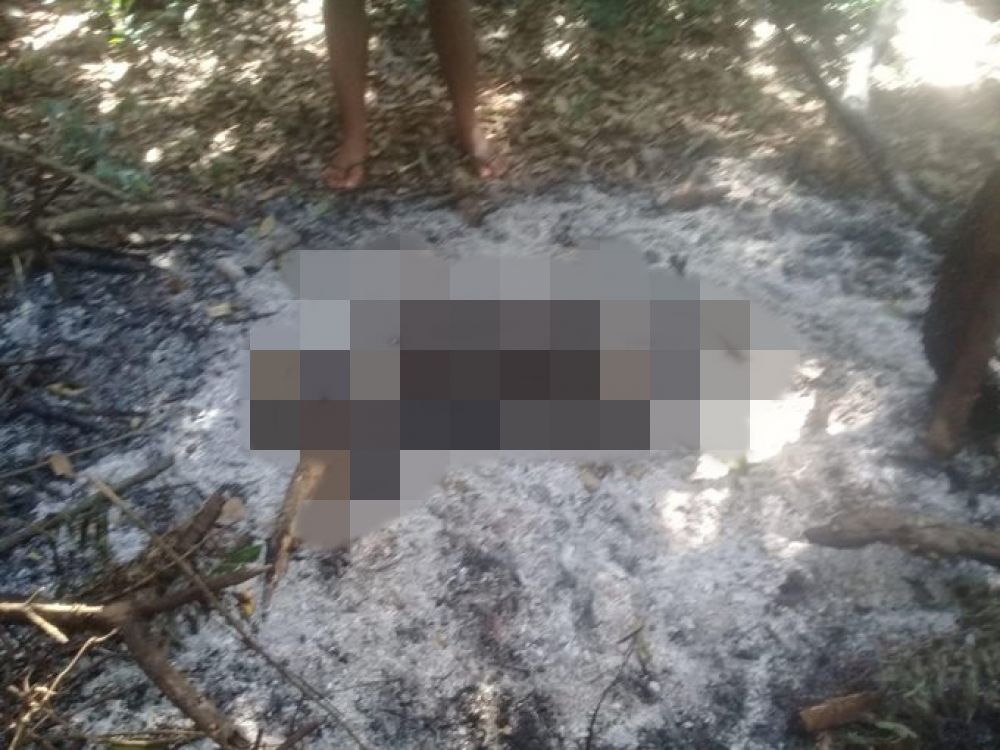 Hallan cadáver calcinado que sería de la niña raptada