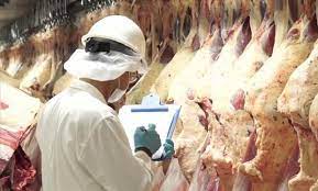 Paraguay exportó 46.500 toneladas de carne bovina en primeros meses del año