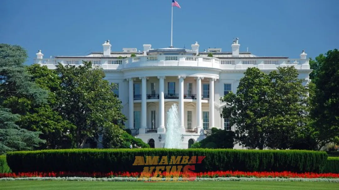 Elecciones en Estados Unidos: ¿cuándo se conocerán los resultados?