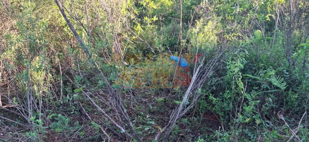 En Limpio hallan cuerpo de adolescente de 16 años en un baldío