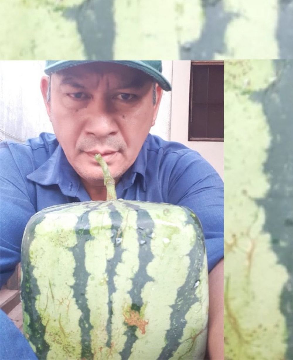 Productor de Paraguarí presenta la primer sandía cuadrada del Paraguay