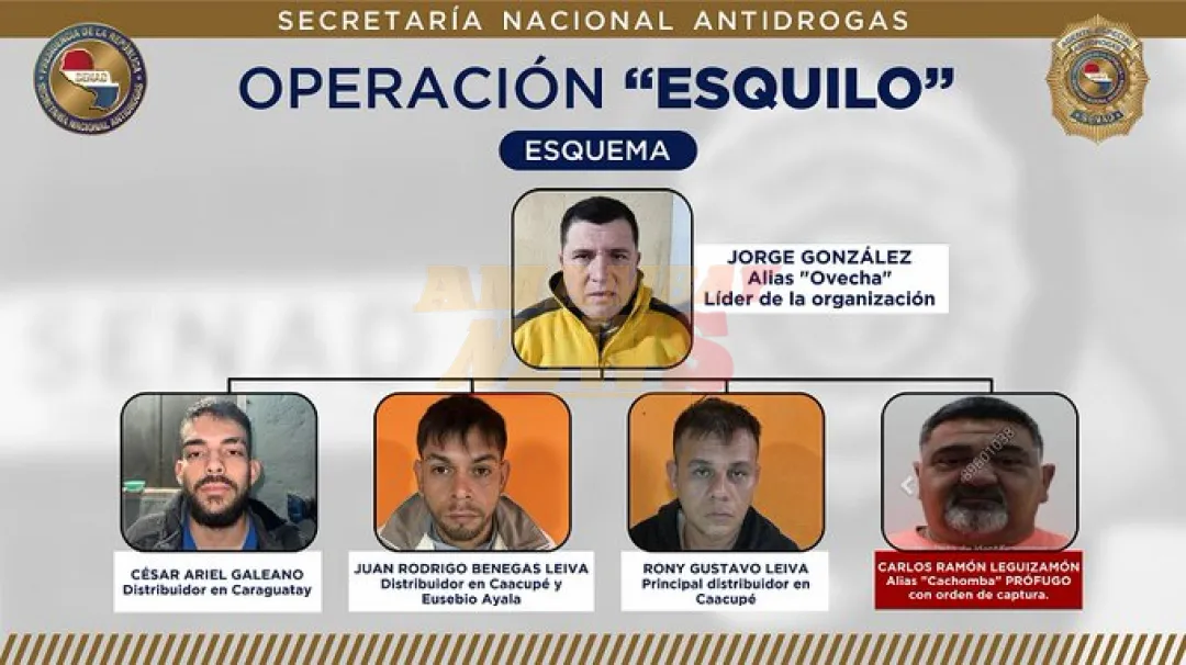 Desmantelan red narco que operaba en Cordillera