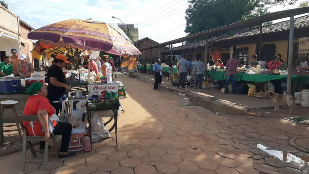 San Pedro: Realizan feria campesina ante falta de plan del MAG