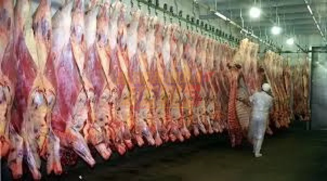 Caída de precios de la carne podría dejar a miles sin trabajo, advierten productores