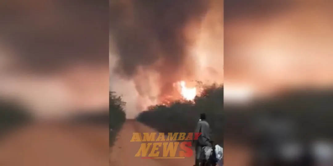 Arrollador incendio persiste en tres estancias del Chaco