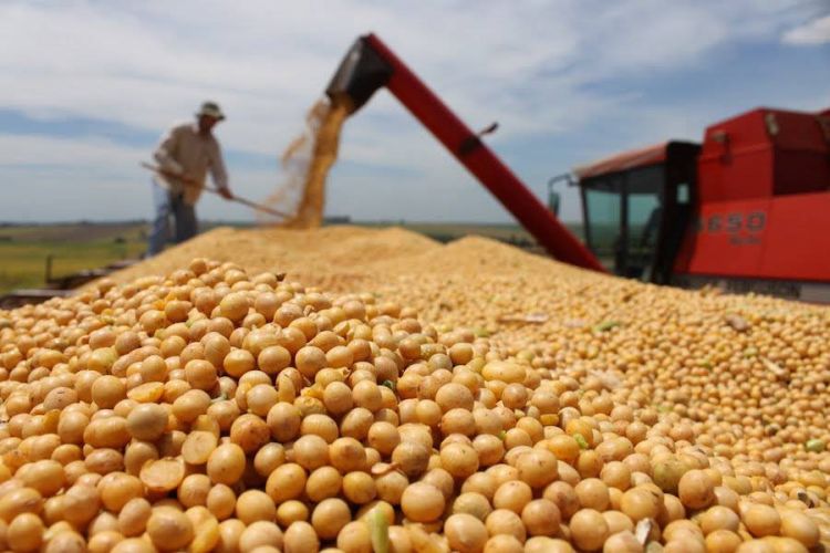 Exportaciones crecieron en marzo de la mano de la soja y la carne