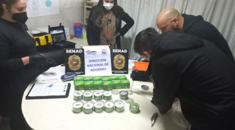 Frustran envío de cocaína en potes de aloe vera