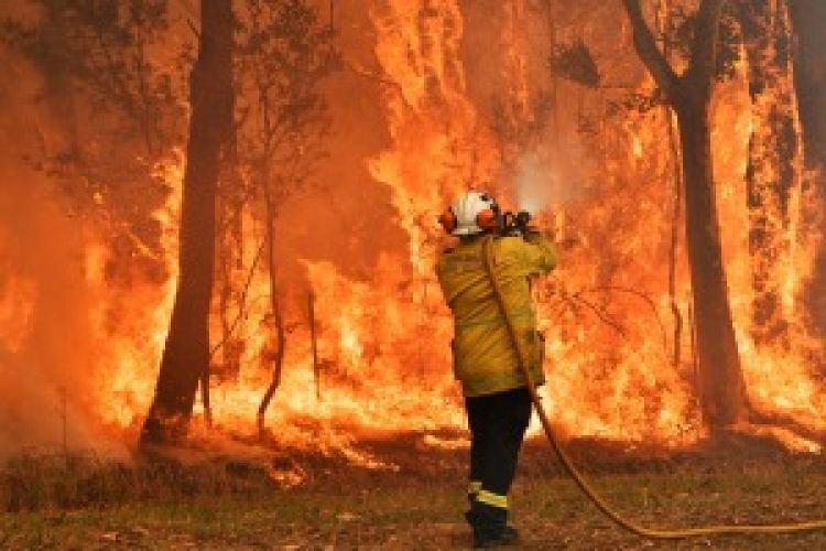 Incendios, sequías y olas de calor se agravarán en el Mediterráneo, según informe de la ONU