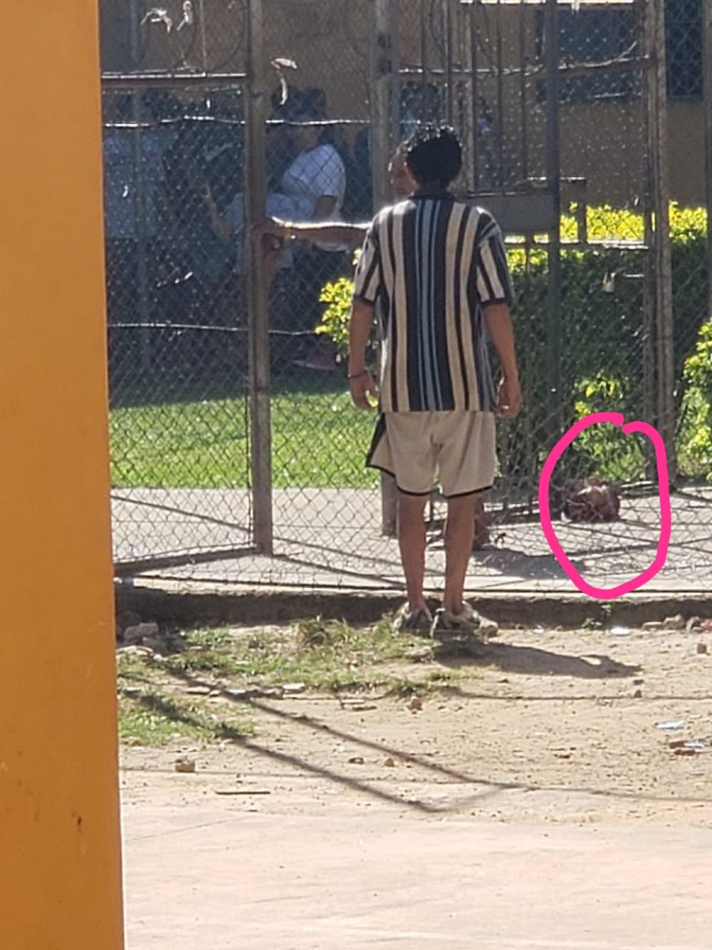 Dan a conocer lista de fallecidos en cárcel de San Pedro