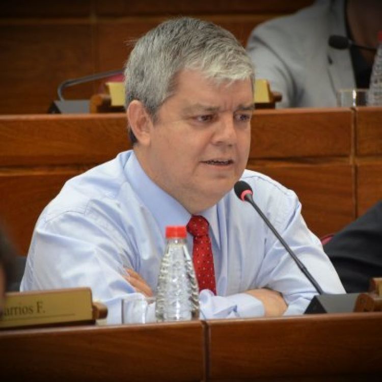 Friedmann es el único senador que reúne los tres requisitos para la pérdida de investidura, asegura Riera