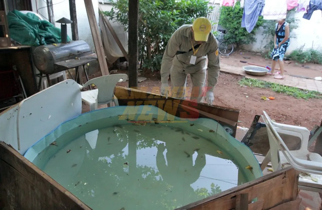 Leve aumento de dengue: curva epidemiológica permanece estable