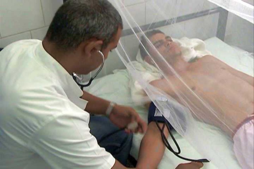 Más de 60 pacientes internados con sospecha de casos de dengue grave