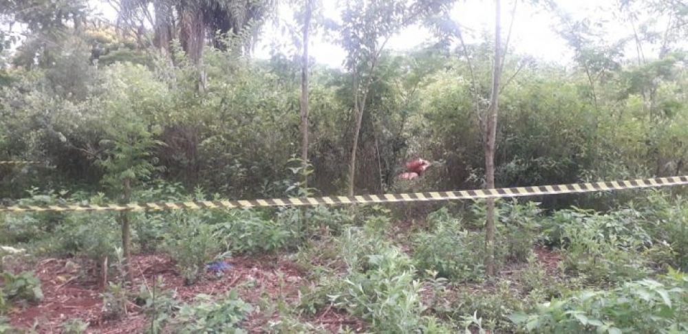 Horror en Presidente Franco: Toda una familia fue asesinada