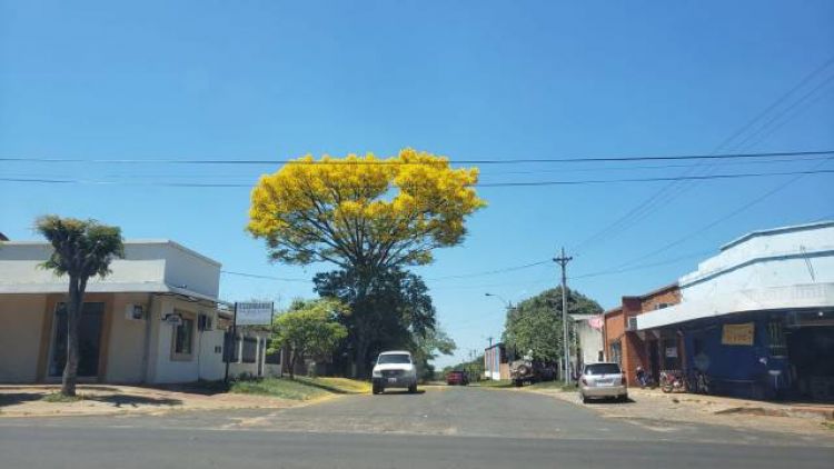 Clima: Viernes fresco a caluroso con máximas de hasta 36°C