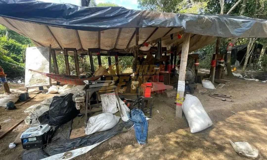 Destruyen 3.000 kilos de marihuana picada en Yby Yaú