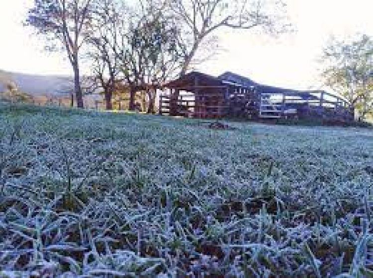 Domingo frío y con escarchas desde mañana, según Meteorología